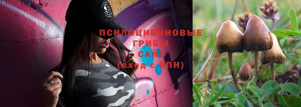 spice Беломорск