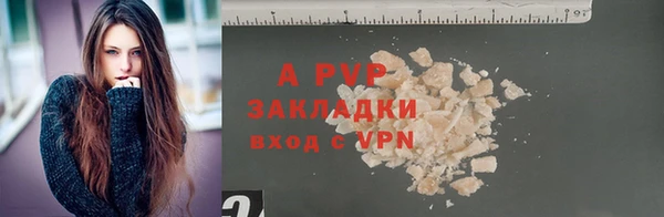 spice Беломорск