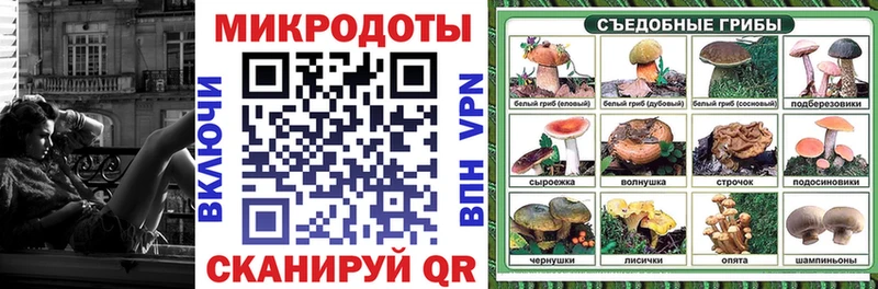 Псилоцибиновые грибы GOLDEN TEACHER  blacksprut онион  Кузнецк  купить  