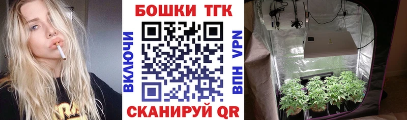 Бошки Шишки THC 21% Кузнецк